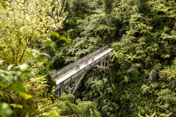 bridge with bicyclists through forest
