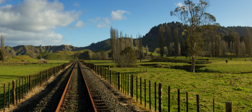 Stratford to Okahukura Rail stretching into the distance