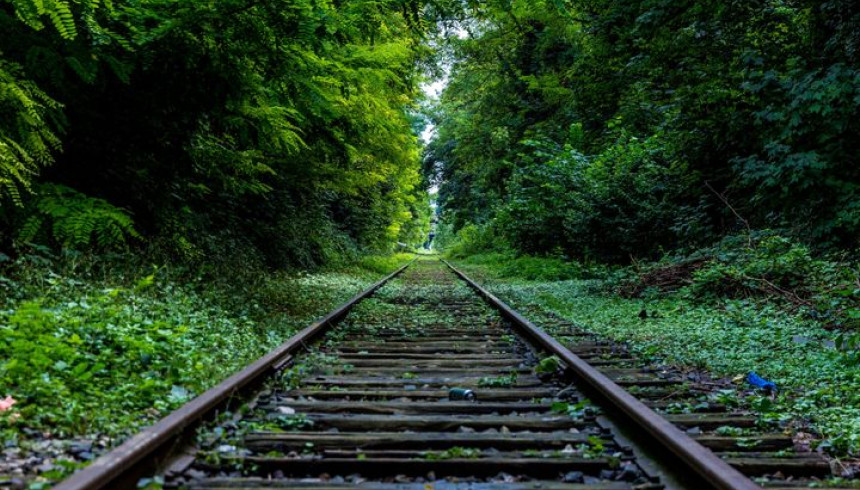 Forgotten World Rail Way