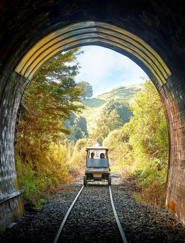 FWA HERO TUNNEL #1 (NARROW CROP)