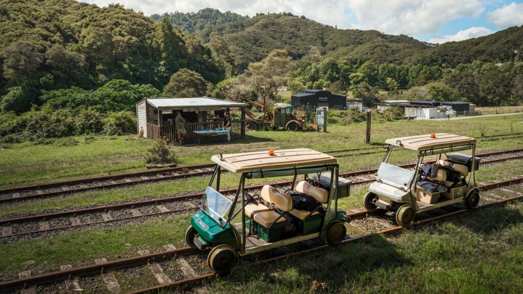 Two carts at Tangarakau Gorge-49